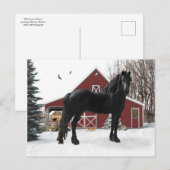 briefkaart "Oberon in Winter" (Voorkant / Achterkant)