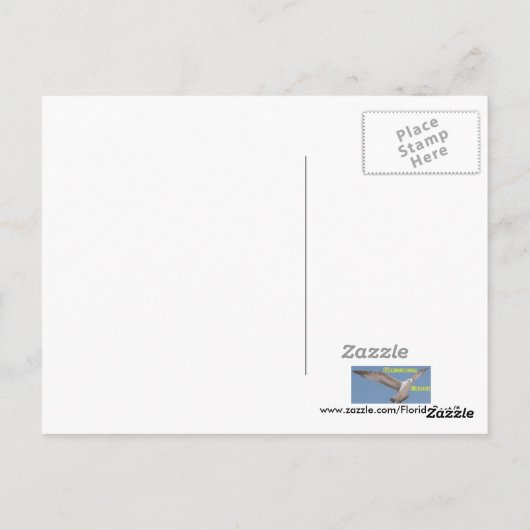 Briefkaart Ocala Gator (Achterkant)