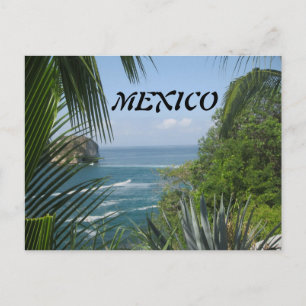 Briefkaart Ocean Trees