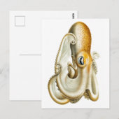 briefkaart "OCTOPUS" SEALIFE (Voorkant / Achterkant)