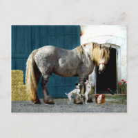 briefkaart "Odin & The Twins"