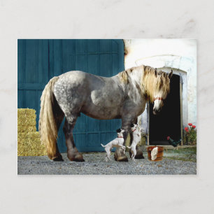 briefkaart "Odin & The Twins"