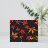 Briefkaart Ohio Autumn Leaves (Staand voorkant)