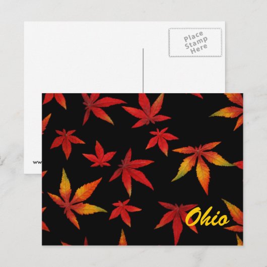 Briefkaart Ohio Autumn Leaves (Voorkant / Achterkant)