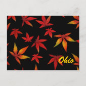 Briefkaart Ohio Autumn Leaves (Voorkant)