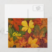 Briefkaart Ohio Autumn Leaves (Voorkant / Achterkant)