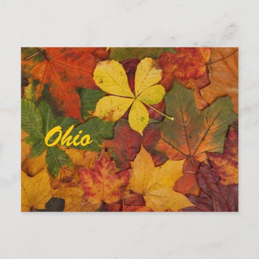 Briefkaart Ohio Autumn Leaves (Voorkant)