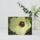 Briefkaart Okra Bloom (Staand voorkant)