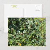 Briefkaart OKTOBER (Voorkant / Achterkant)