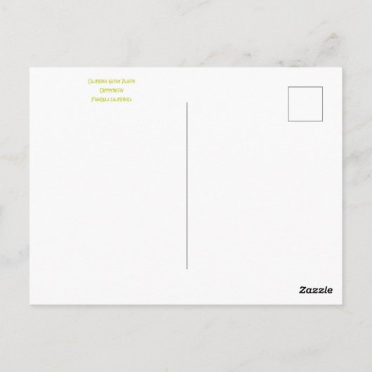 Briefkaart OKTOBER (Achterkant)