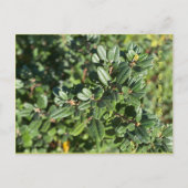 Briefkaart OKTOBER (Voorkant)