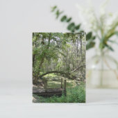 Briefkaart - Old Florida (Staand voorkant)