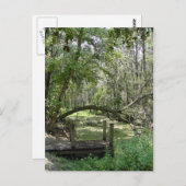 Briefkaart - Old Florida (Voorkant / Achterkant)