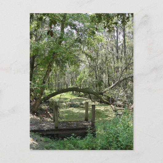 Briefkaart - Old Florida (Voorkant)