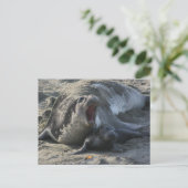 BRIEFKAART - olifantenzegel (Staand voorkant)