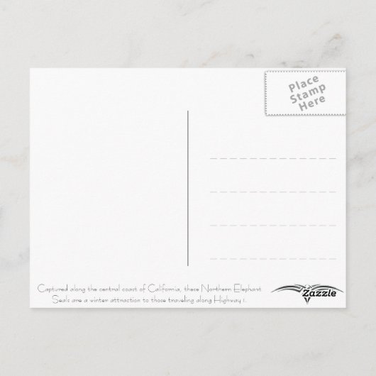 BRIEFKAART - olifantenzegel (Achterkant)