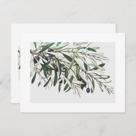 BRIEFKAART :  OLIJFBRANK (Voorkant / Achterkant)