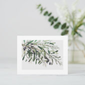 BRIEFKAART :  OLIJFBRANK (Staand voorkant)