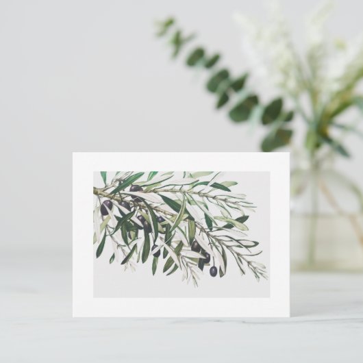 BRIEFKAART :  OLIJFBRANK (Staand voorkant)