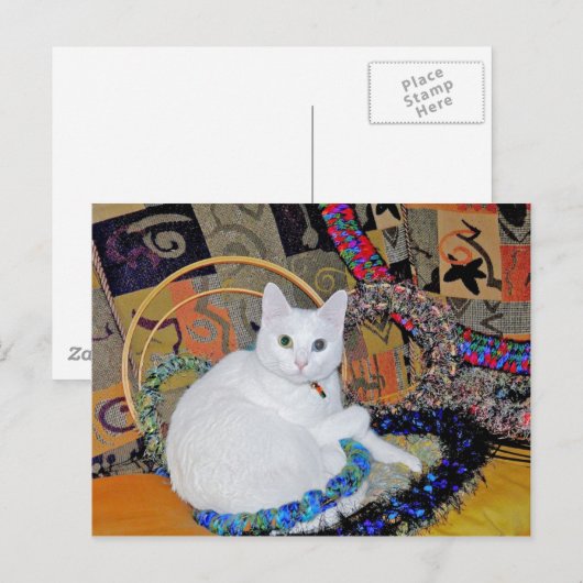 Briefkaart omringd door sereniteit (Voorkant / Achterkant)