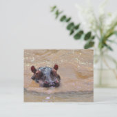Briefkaart onder Hippo (Staand voorkant)