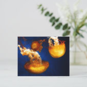 Briefkaart onderwater ballet (Staand voorkant)