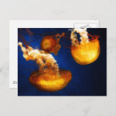 Briefkaart onderwater ballet (Voorkant / Achterkant)