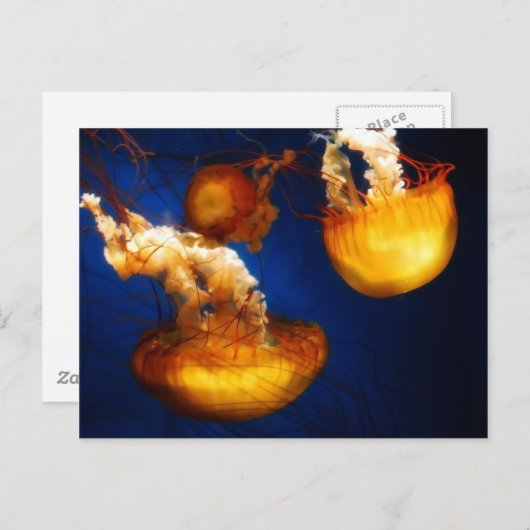 Briefkaart onderwater ballet (Voorkant / Achterkant)