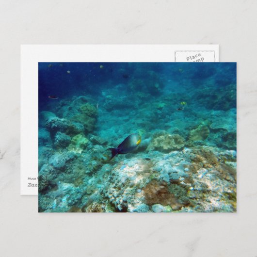Briefkaart onderwater Uitzicht (Voorkant / Achterkant)