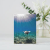 Briefkaart onderwaterscène (Staand voorkant)