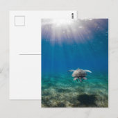 Briefkaart onderwaterscène (Voorkant / Achterkant)