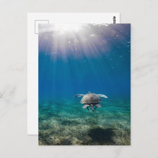 Briefkaart onderwaterscène (Voorkant / Achterkant)