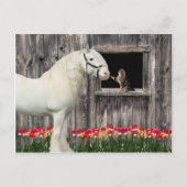 briefkaart 'One Spring Morning' (Voorkant)