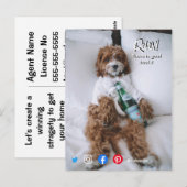 briefkaart ontspant beddehond (Voorkant / Achterkant)