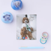 briefkaart ontspant beddehond flyer (Enkel)