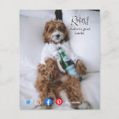 briefkaart ontspant beddehond flyer (Voorkant)