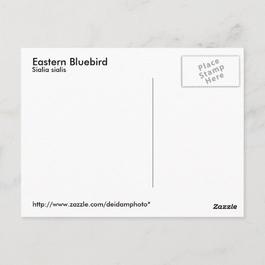 Briefkaart Oost-Blauwvogel (Achterkant)