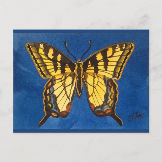 Briefkaart Oost-tijgervlinder (Voorkant)