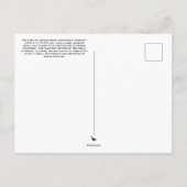 Briefkaart oosterbox schildpad (Achterkant)