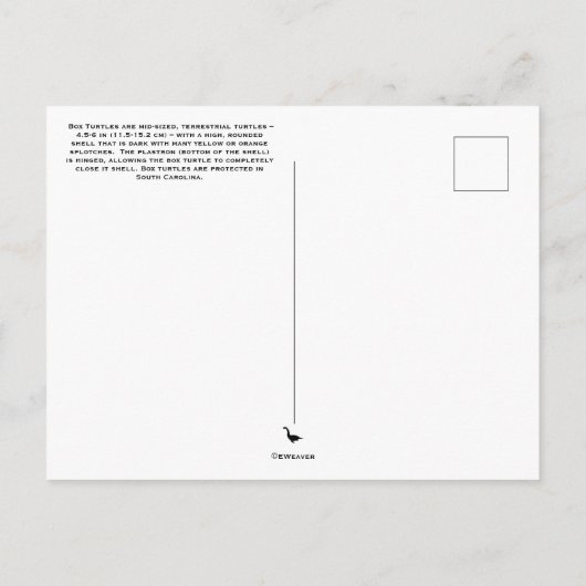 Briefkaart oosterbox schildpad (Achterkant)