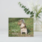 Briefkaart Oostergrijze eekhoorn (Staand voorkant)