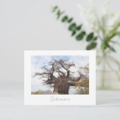 Briefkaart op de Baobab-boom in Botswana (Staand voorkant)