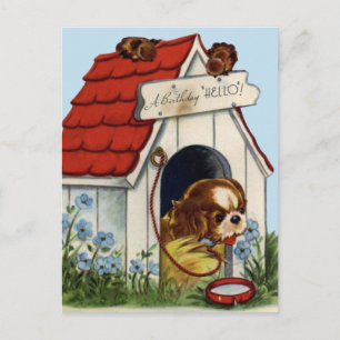 Briefkaart op de geboorte