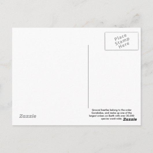 Briefkaart op de grond (Achterkant)