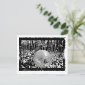 Briefkaart op de grond (Staand voorkant)