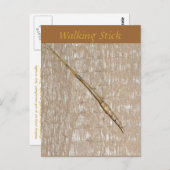 Briefkaart op de ronddraaiende stok (Voorkant / Achterkant)