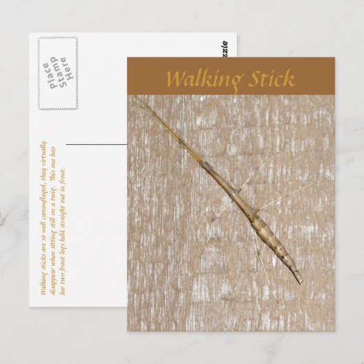 Briefkaart op de ronddraaiende stok (Voorkant / Achterkant)