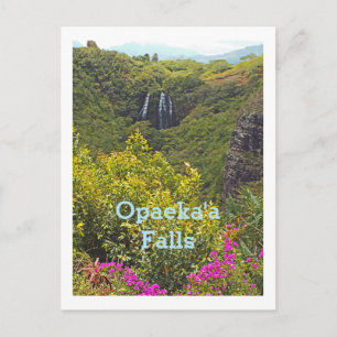 BRIEFKAART, "OPAEKA'A HERFSTEN (KAUAI, HAWAII) BRIEFKAART