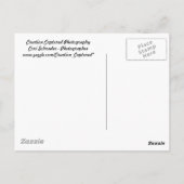 Briefkaart Opgenomen fotografie maken (Achterkant)