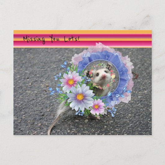 Briefkaart Opossum Floral Stripe Ontbreekt je. (Voorkant)